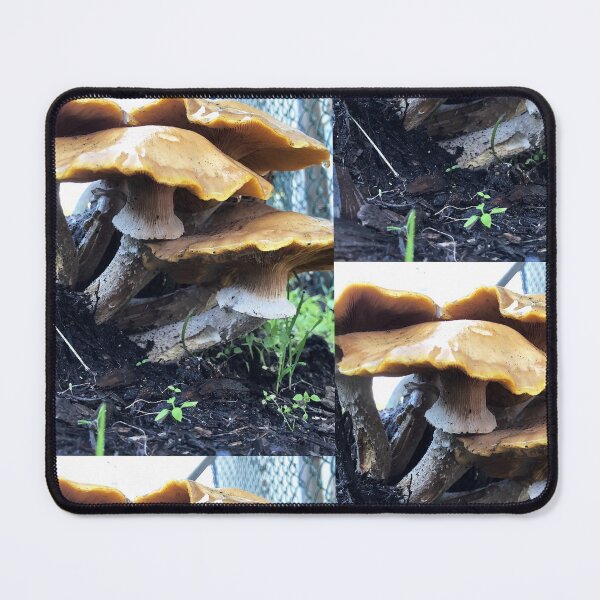 Item preview, Mushroom megaphone  designed and sold by artbydanielbelc.