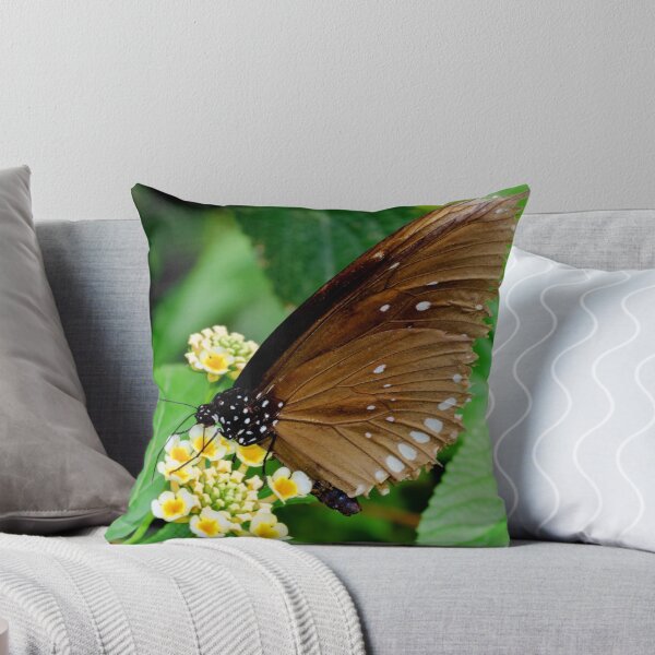 Item preview, Oriental Great Eggfly designed and sold by Frank  Irwin.