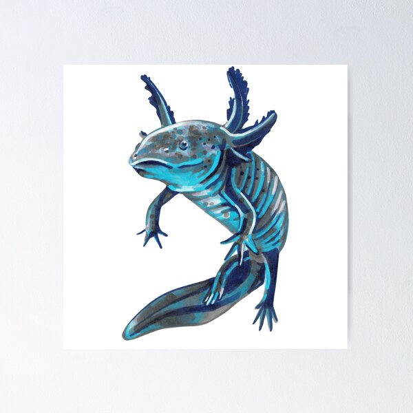 Item preview, Blue Axolotl  designed and sold by Kelsey Worth.