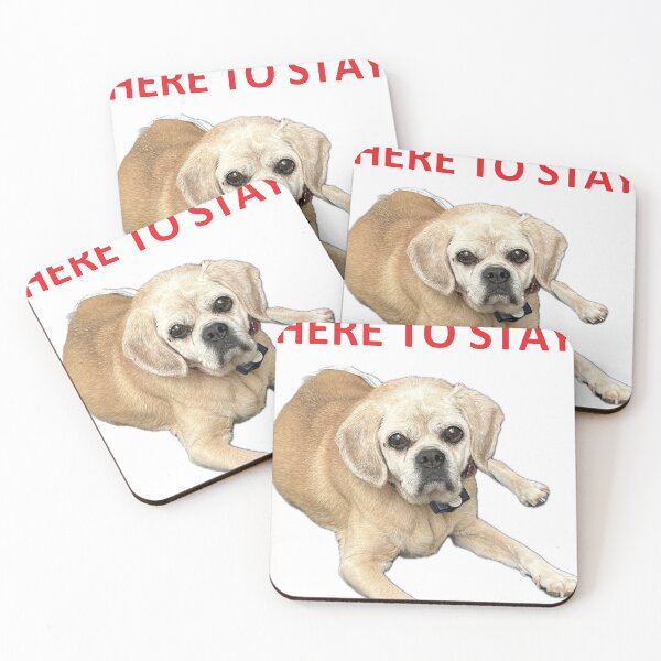 Item preview, Nelly Alive Image Here To Stay designed and sold by Charliestutz.