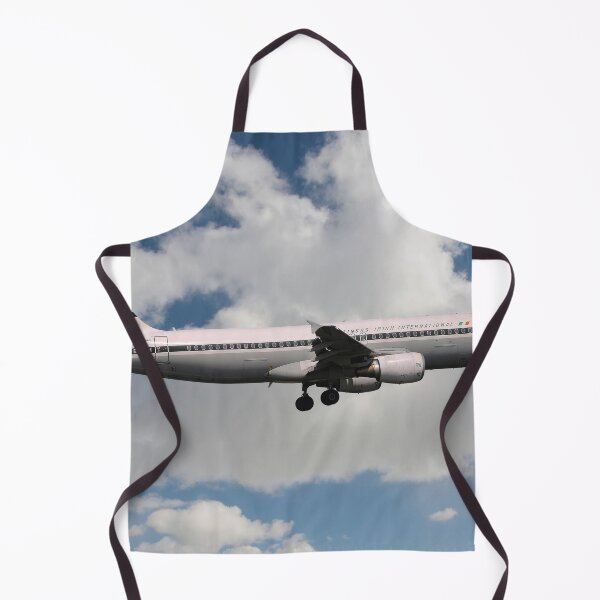 Item preview, Aer Lingus Airbus A320-214 designed and sold by Skyframe Aviation.