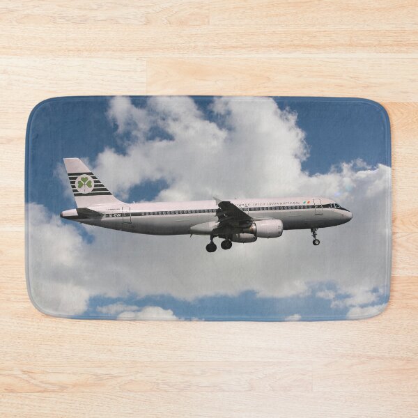 Item preview, Aer Lingus Airbus A320-214 designed and sold by Skyframe Aviation.
