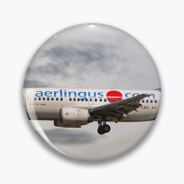 Item preview, Aer Lingus Boeing 737-500 designed and sold by Skyframe Aviation.