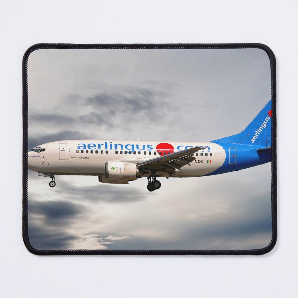 Item preview, Aer Lingus Boeing 737-500 designed and sold by Skyframe Aviation.