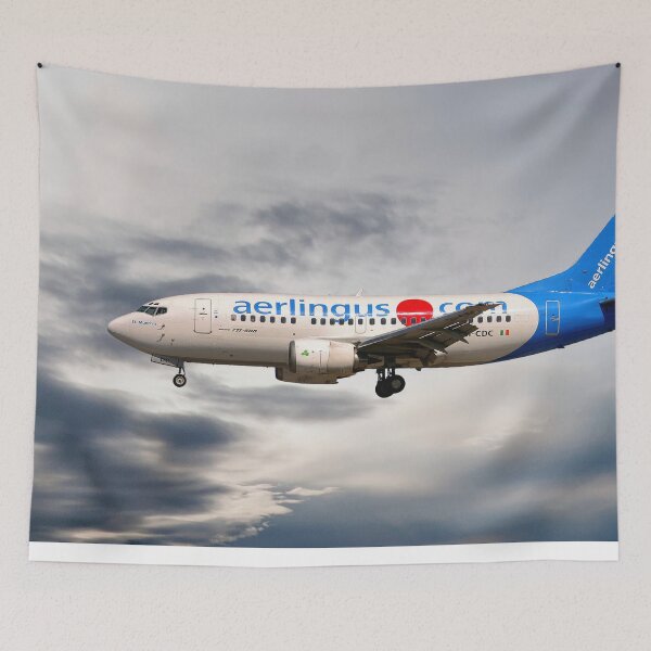Item preview, Aer Lingus Boeing 737-500 designed and sold by Skyframe Aviation.