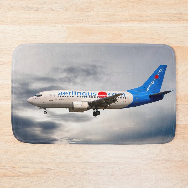 Item preview, Aer Lingus Boeing 737-500 designed and sold by Skyframe Aviation.