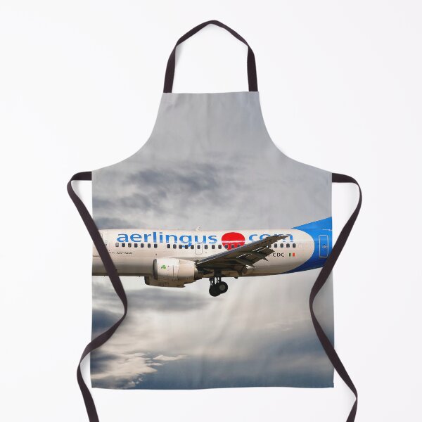 Item preview, Aer Lingus Boeing 737-500 designed and sold by Skyframe Aviation.