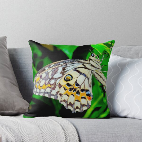 Item preview, Common Lime butterfly designed and sold by Frank  Irwin.