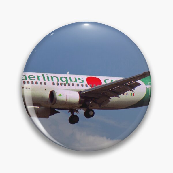 Item preview, Aer Lingus Boeing 737-548 designed and sold by Skyframe Aviation.