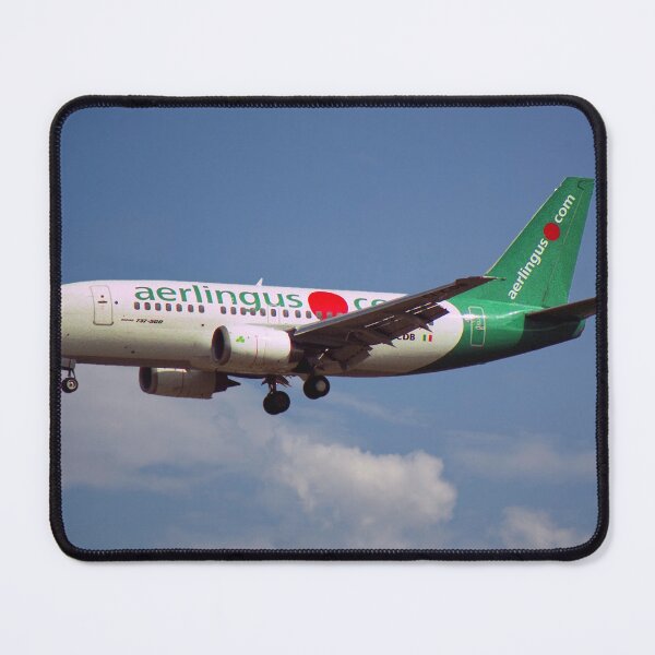 Item preview, Aer Lingus Boeing 737-548 designed and sold by Skyframe Aviation.