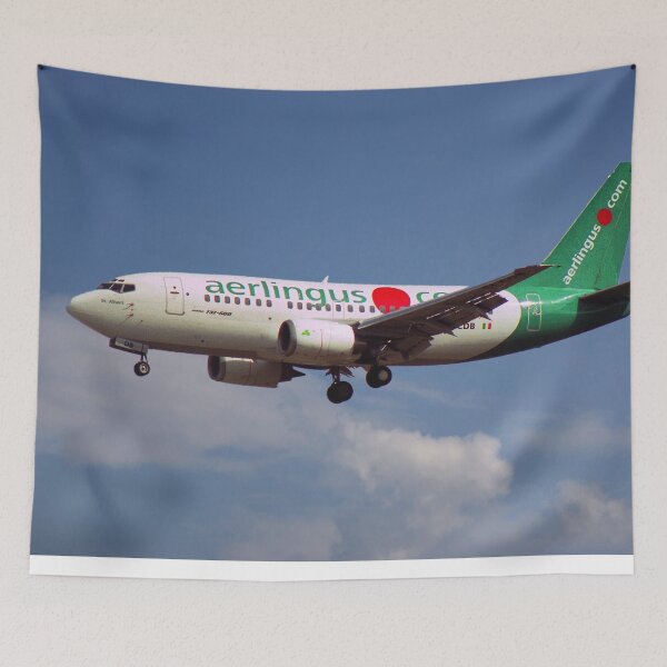 Item preview, Aer Lingus Boeing 737-548 designed and sold by Skyframe Aviation.