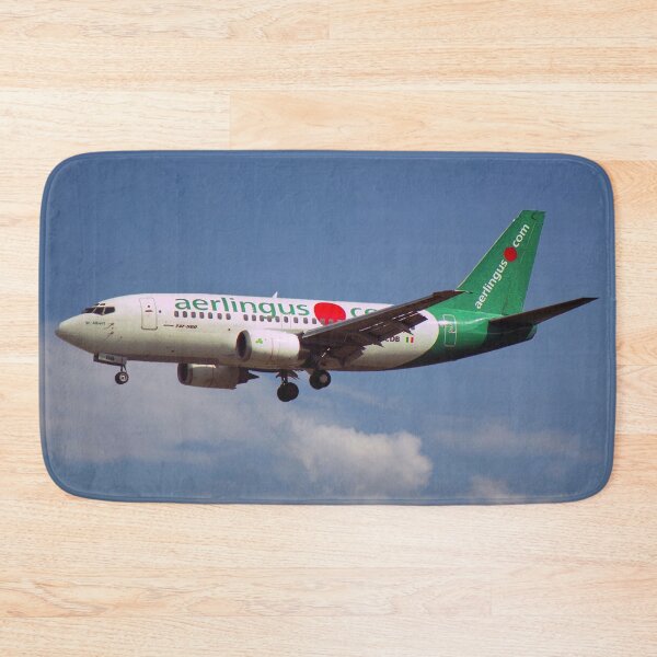 Item preview, Aer Lingus Boeing 737-548 designed and sold by Skyframe Aviation.