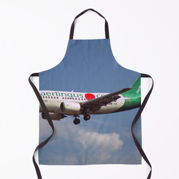 Item preview, Aer Lingus Boeing 737-548 designed and sold by Skyframe Aviation.