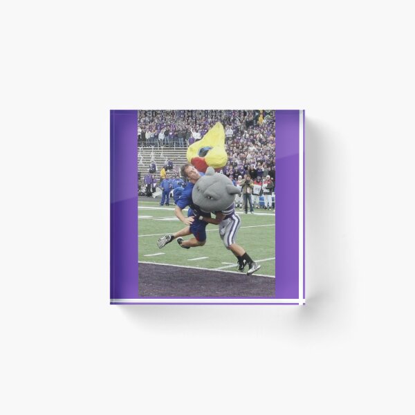 Item preview, Willie mascot designed and sold by wildcatshop29.