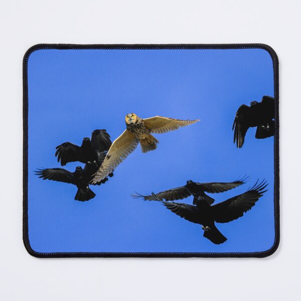 Item preview, Short Eared Owl Daytime Drama designed and sold by PsychoAlien.com.