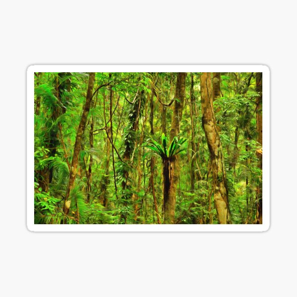Item preview, wilderness designed and sold by OzCamera.