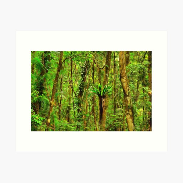 Item preview, wilderness designed and sold by OzCamera.