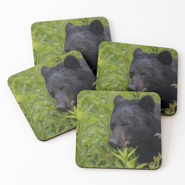 Item preview, I have a feeling someone is watching me! designed and sold by Nature Made.