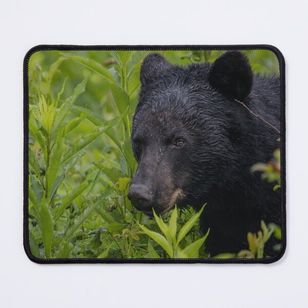 Item preview, I have a feeling someone is watching me! designed and sold by Nature Made.