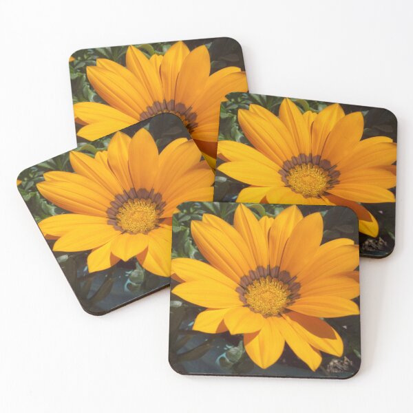 Item preview, Yellow Gazania designed and sold by Viv Thompson Photography .