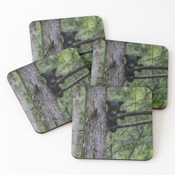 Item preview, Just hanging around. designed and sold by Nature Made.