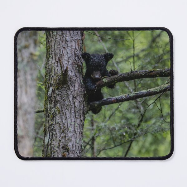 Item preview, Just hanging around. designed and sold by Nature Made.