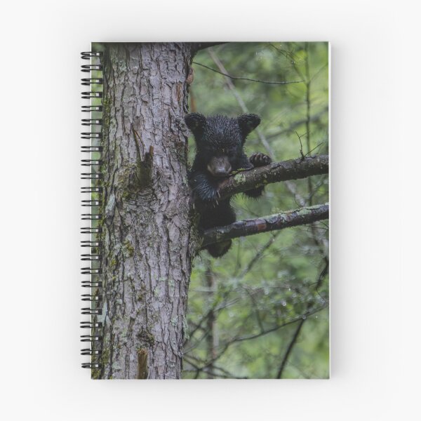 Item preview, Just hanging around. designed and sold by Nature Made.