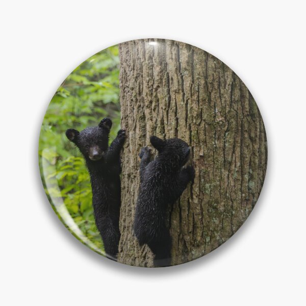 Item preview, Cubs climbing.  designed and sold by Nature Made.