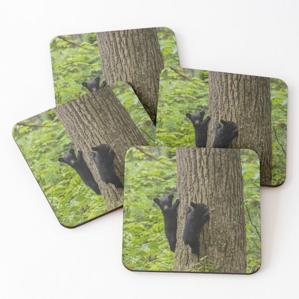 Item preview, Cubs climbing.  designed and sold by Nature Made.
