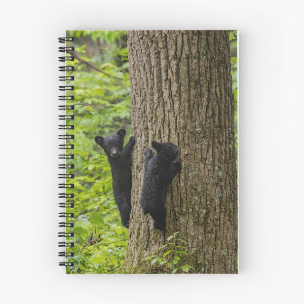 Item preview, Cubs climbing.  designed and sold by Nature Made.