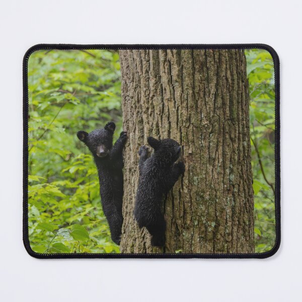 Item preview, Cubs climbing. designed and sold by Nature Made.