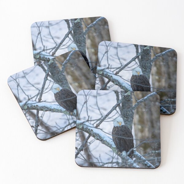 Item preview, Is that snow or an eagle I see? designed and sold by Nature Made.