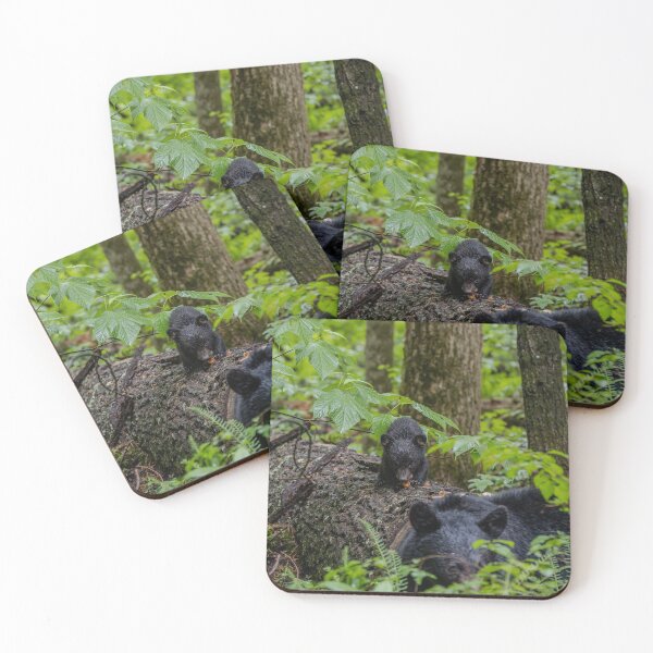 Item preview, Chewing on a leaf. designed and sold by Nature Made.