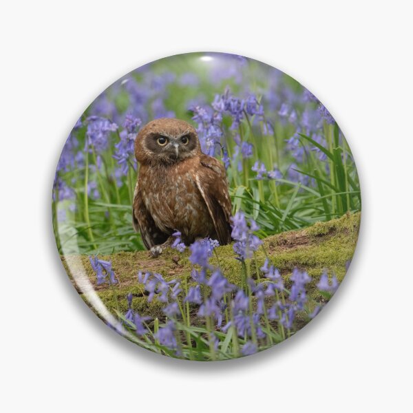 Item preview, Boobook Owl in Bluebells designed and sold by Karen  O'Reilly.