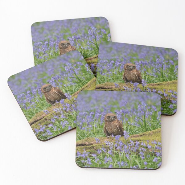 Item preview, Boobook Owl in Bluebells designed and sold by Karen  O'Reilly.