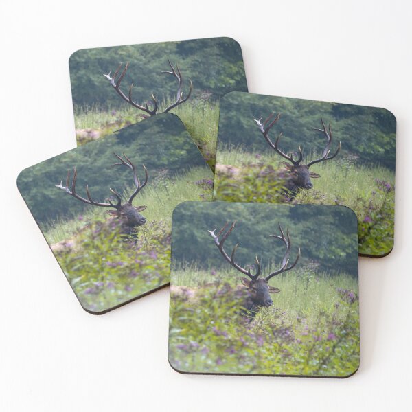 Item preview, Who is there? designed and sold by Nature Made.