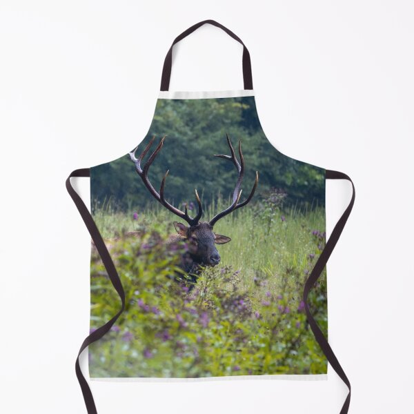 Item preview, Who is there? designed and sold by Nature Made.