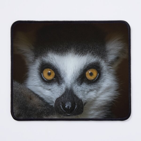 Item preview, lemur designed and sold by Karen  O'Reilly.