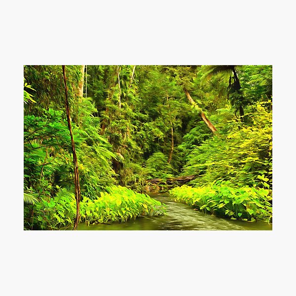 Item preview, wilderness designed and sold by OzCamera.