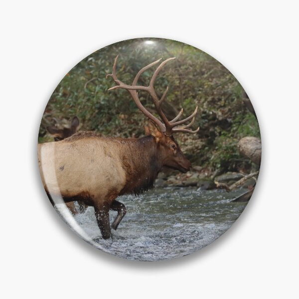 Item preview, Crossing the river designed and sold by Nature Made.