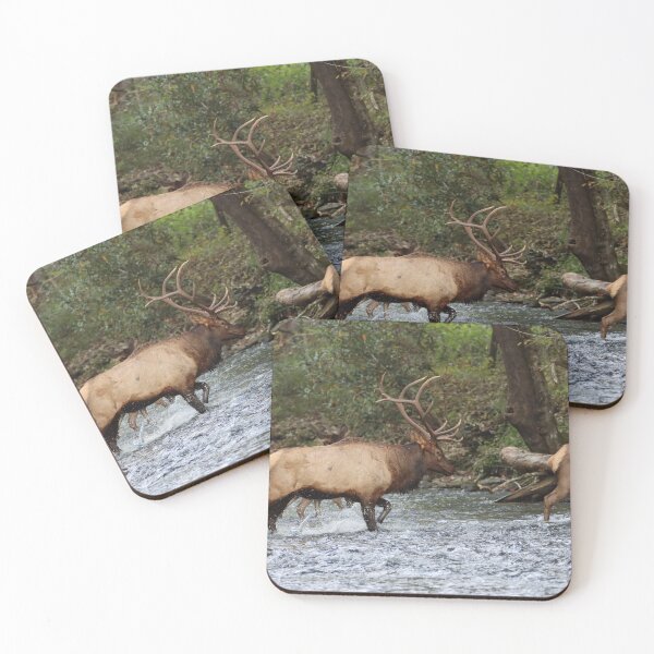 Item preview, Crossing the river designed and sold by Nature Made.