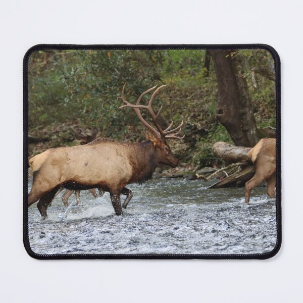 Item preview, Crossing the river designed and sold by Nature Made.