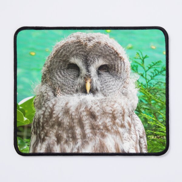 Item preview, Owl designed and sold by JEZ22.