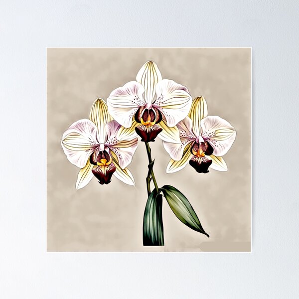 Item preview, Rothschild’s Orchid #2 designed and sold by Helios Be. Lavsh.