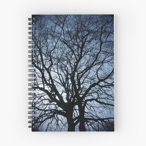 Item preview, Winter beech, Bridlington, vignette designed and sold by paulboizot.
