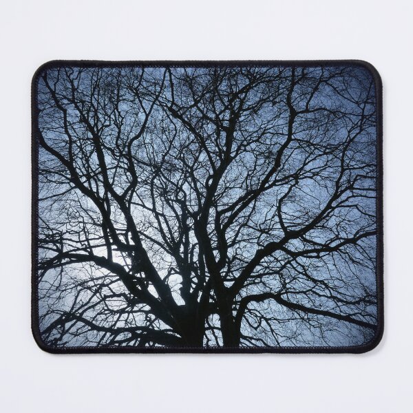 Item preview, Winter beech, Bridlington, vignette designed and sold by paulboizot.