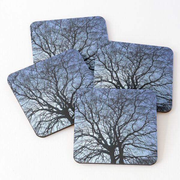 Item preview, Winter beech, Bridlington designed and sold by paulboizot.
