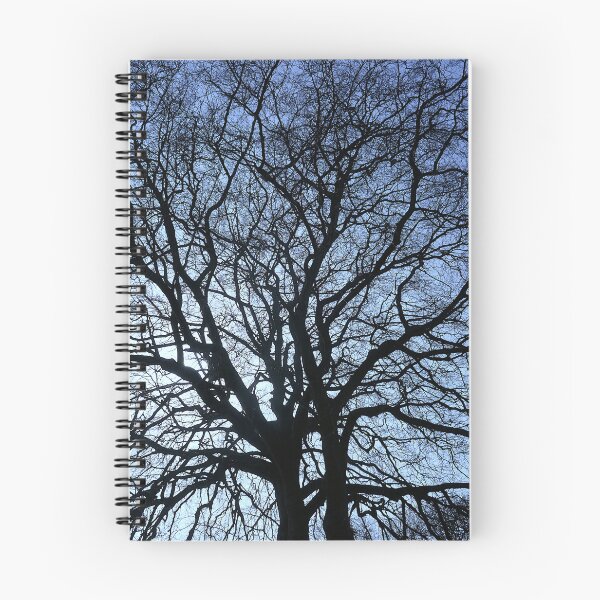 Item preview, Winter beech, Bridlington designed and sold by paulboizot.