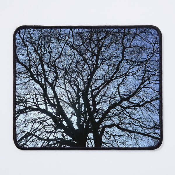 Item preview, Winter beech, Bridlington designed and sold by paulboizot.