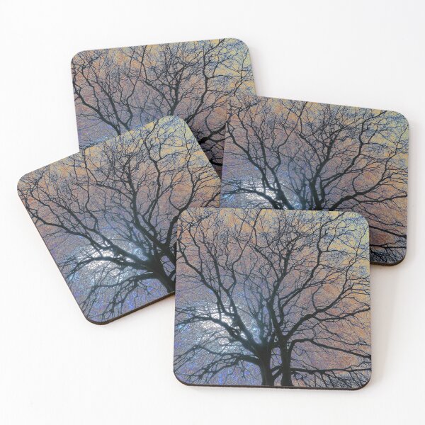 Item preview, Winter beech, Bridlington, coloured sky edit designed and sold by paulboizot.